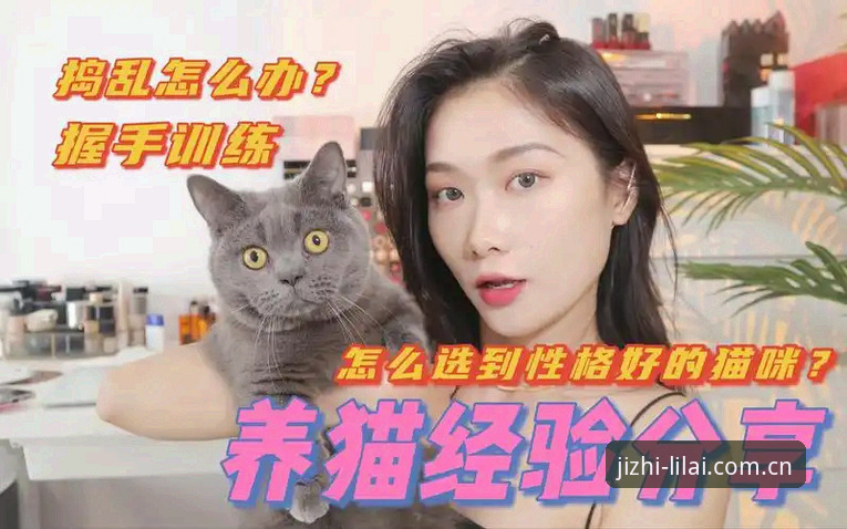 资深用户分享利来体育怎么下载推荐实战经验：利来体育平台A8Z3版本选择与官方入口识别心得